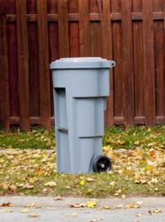 Bear Resistant Bin